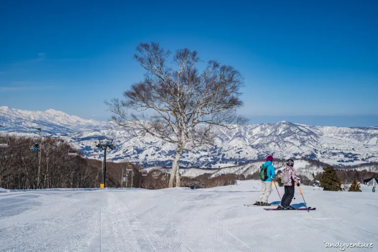 野澤溫泉滑雪場－雪場攻略，設施地圖與雪具穿搭分享｜長野縣｜日本租車旅遊