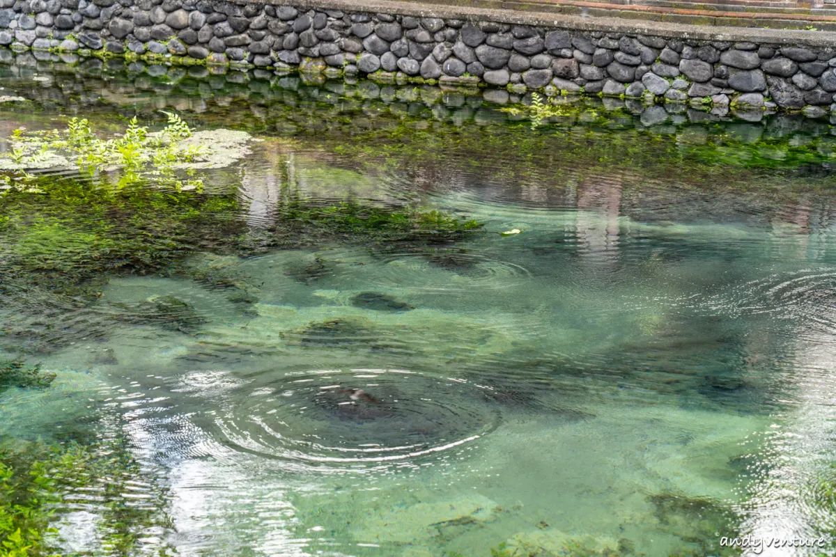 聖泉寺(Pura Tirta Empul)－峇里島五大聖廟之一，聖泉浴流程介紹｜峇里島包車自由行