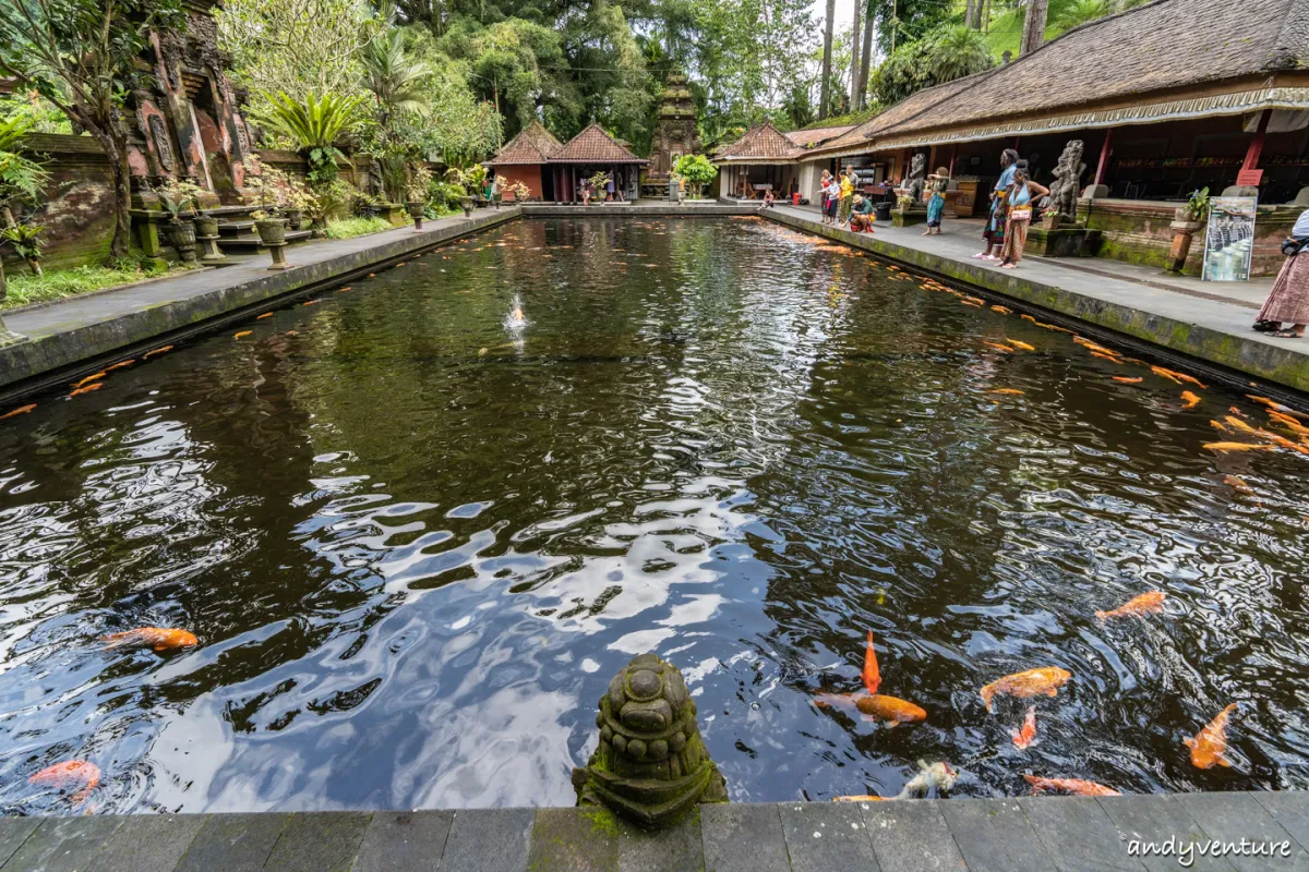 聖泉寺(Pura Tirta Empul)－峇里島五大聖廟之一，聖泉浴流程介紹｜峇里島包車自由行