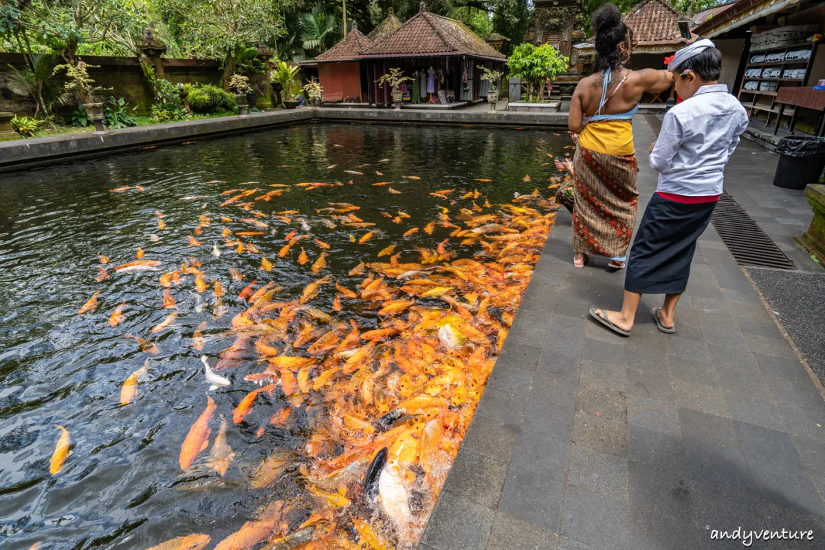 聖泉寺(Pura Tirta Empul)－峇里島五大聖廟之一，聖泉浴流程介紹｜峇里島包車自由行