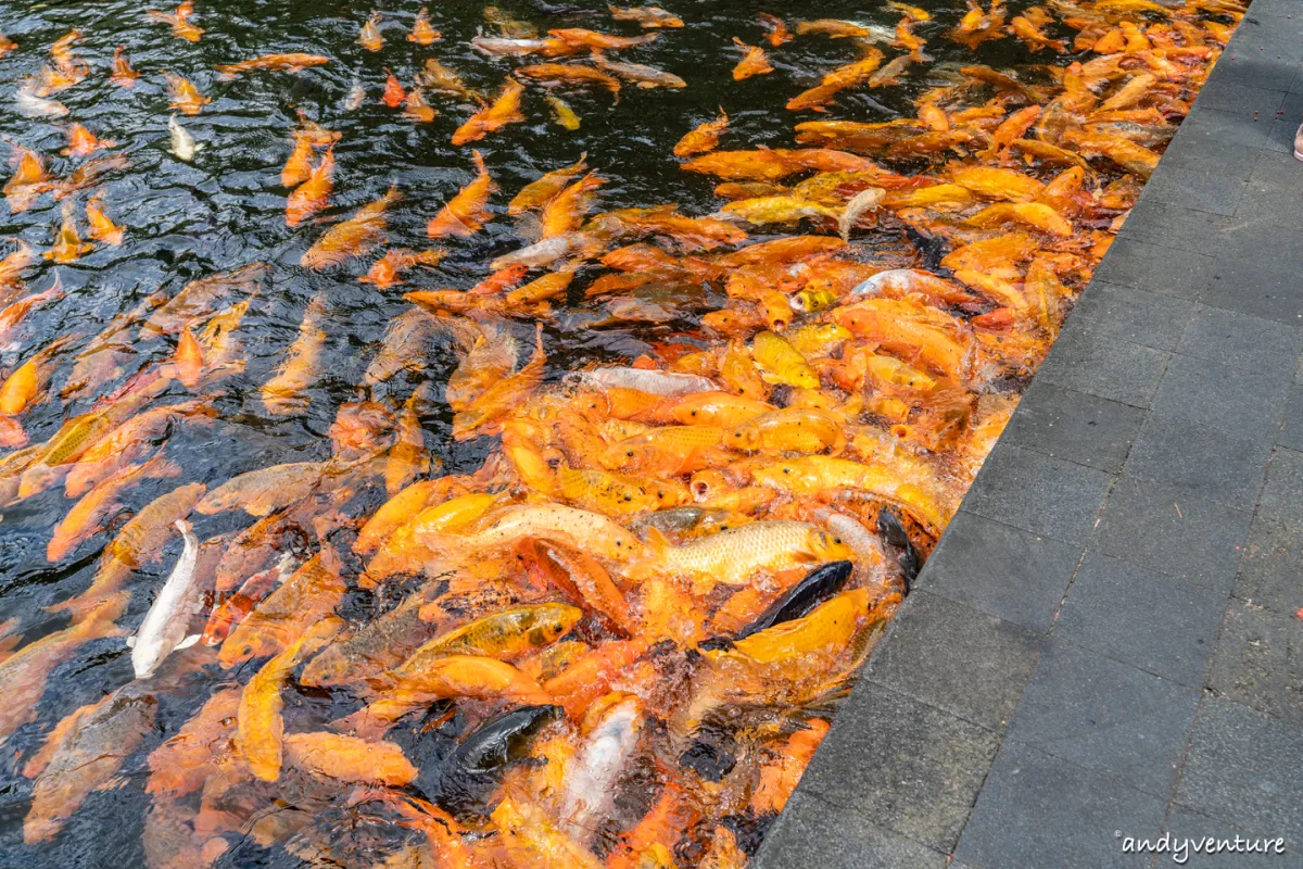 聖泉寺(Pura Tirta Empul)－峇里島五大聖廟之一，聖泉浴流程介紹｜峇里島包車自由行