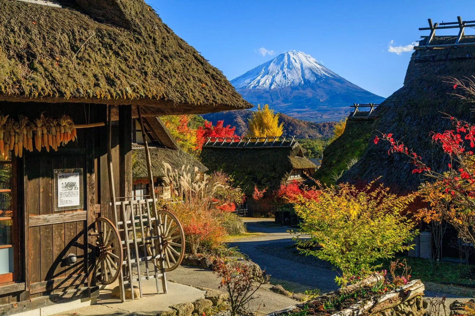 西湖療癒之里根場景色