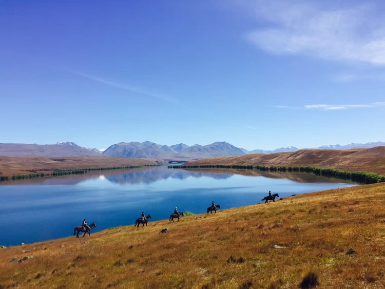 Lake Tekapo 騎馬體驗 Lake Tekapo 騎馬體驗