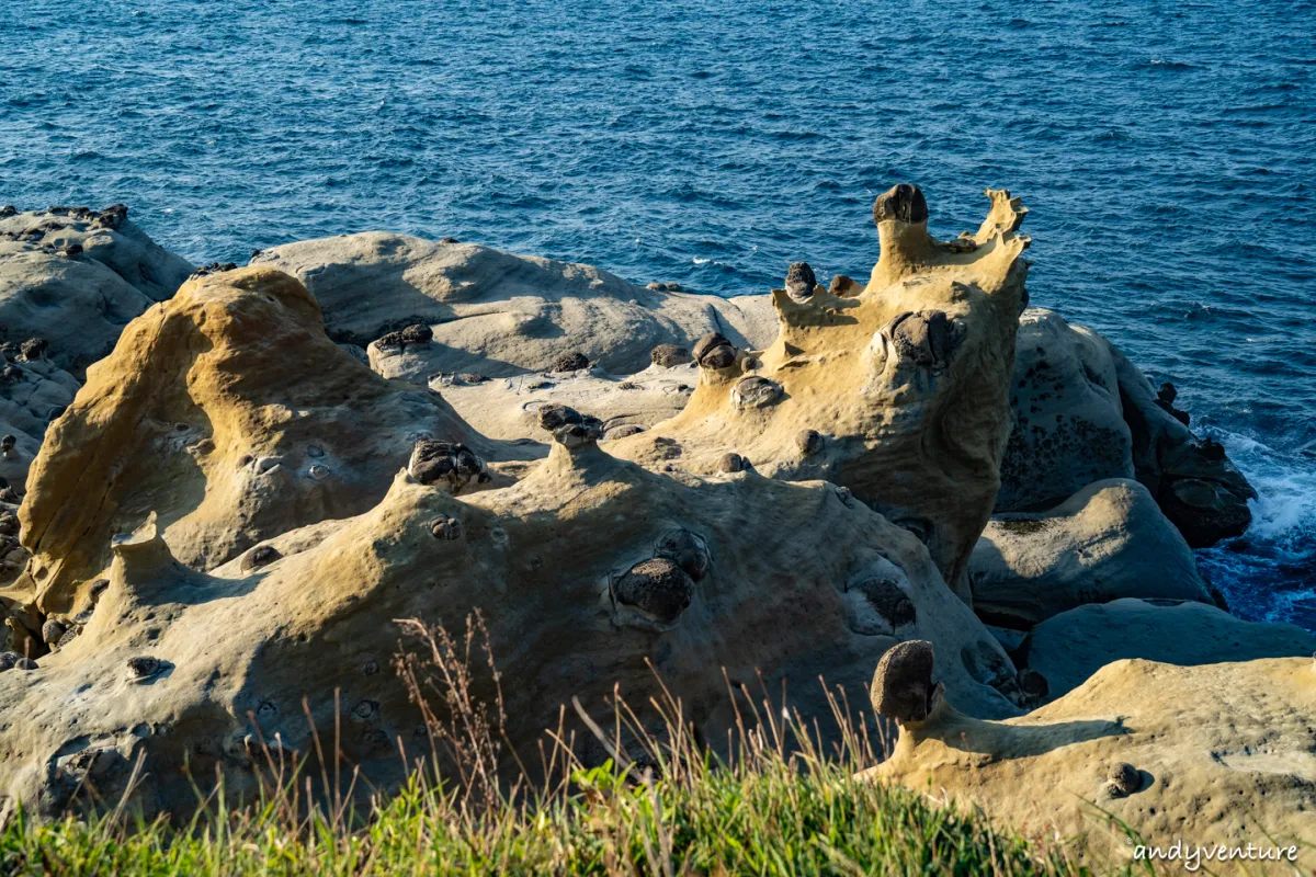 和平島公園一日遊－園區景點介紹、阿拉寶灣導覽、海水泳池、門票交通｜基隆景點