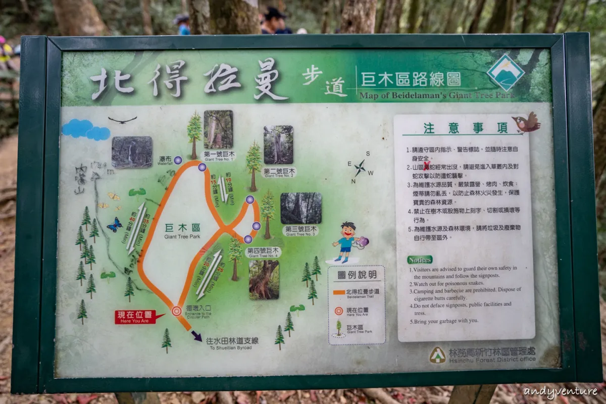 北得拉曼山巨木步道－毛小孩也可以來爬的步道｜交通、路線｜新竹尖石｜台灣景點