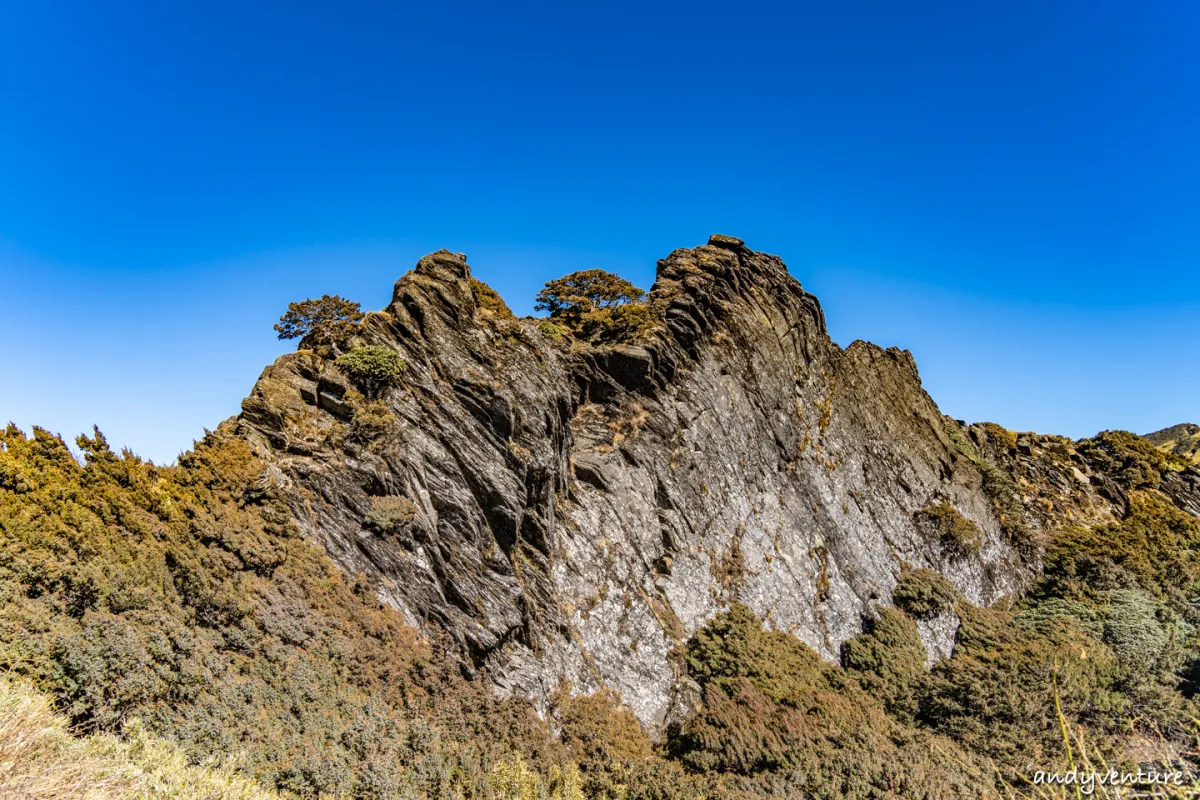 合歡山主峰和南峰步道一日遊－完整路線攻略，百岳新手最好的起手式｜台灣景點