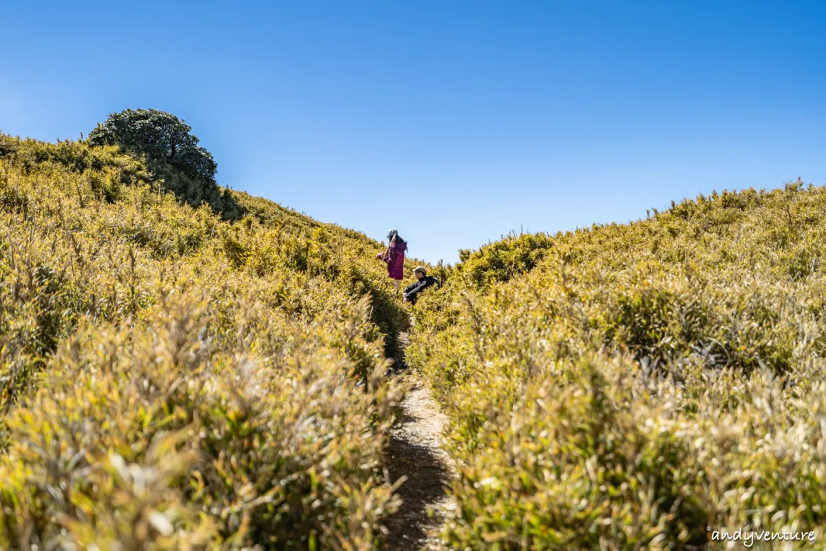 合歡山北峰步道一日遊－完整路線攻略，媲美國際級山景的新手百岳路線｜台灣景點