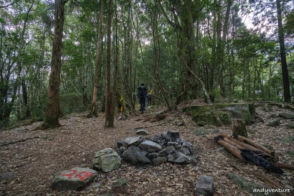 西巒大山－登山路線攻略，單攻百岳的極致，挑戰一天爬三座101的高度