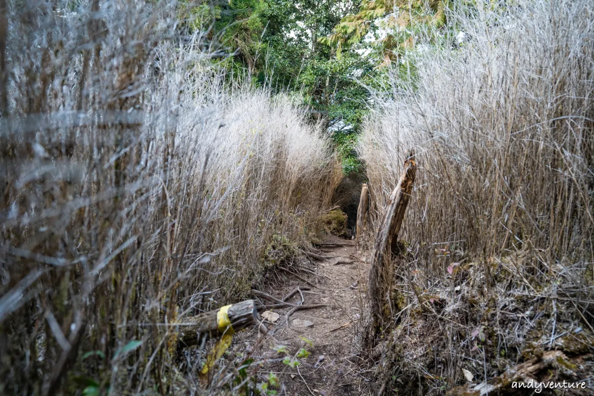 西巒大山－登山路線攻略，單攻百岳的極致，挑戰一天爬三座101的高度