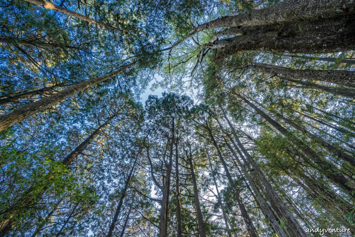 西巒大山－登山路線攻略，單攻百岳的極致，挑戰一天爬三座101的高度