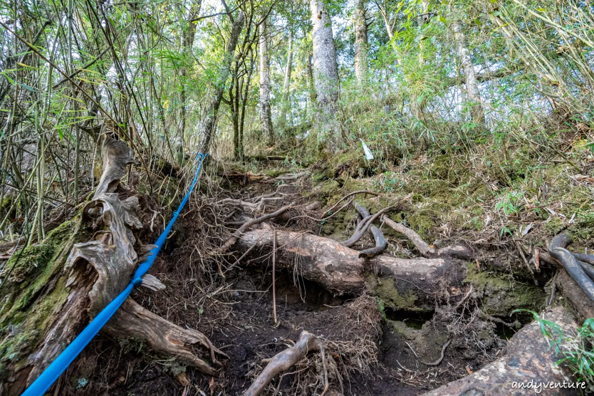 西巒大山－登山路線攻略，單攻百岳的極致，挑戰一天爬三座101的高度