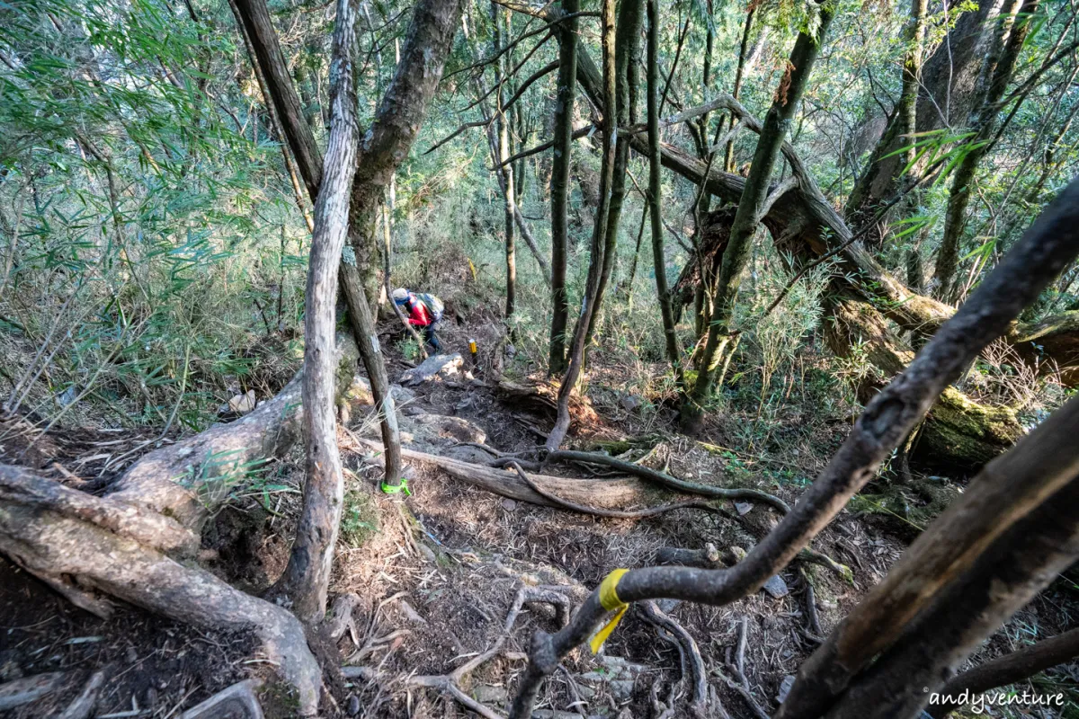 西巒大山－登山路線攻略，單攻百岳的極致，挑戰一天爬三座101的高度