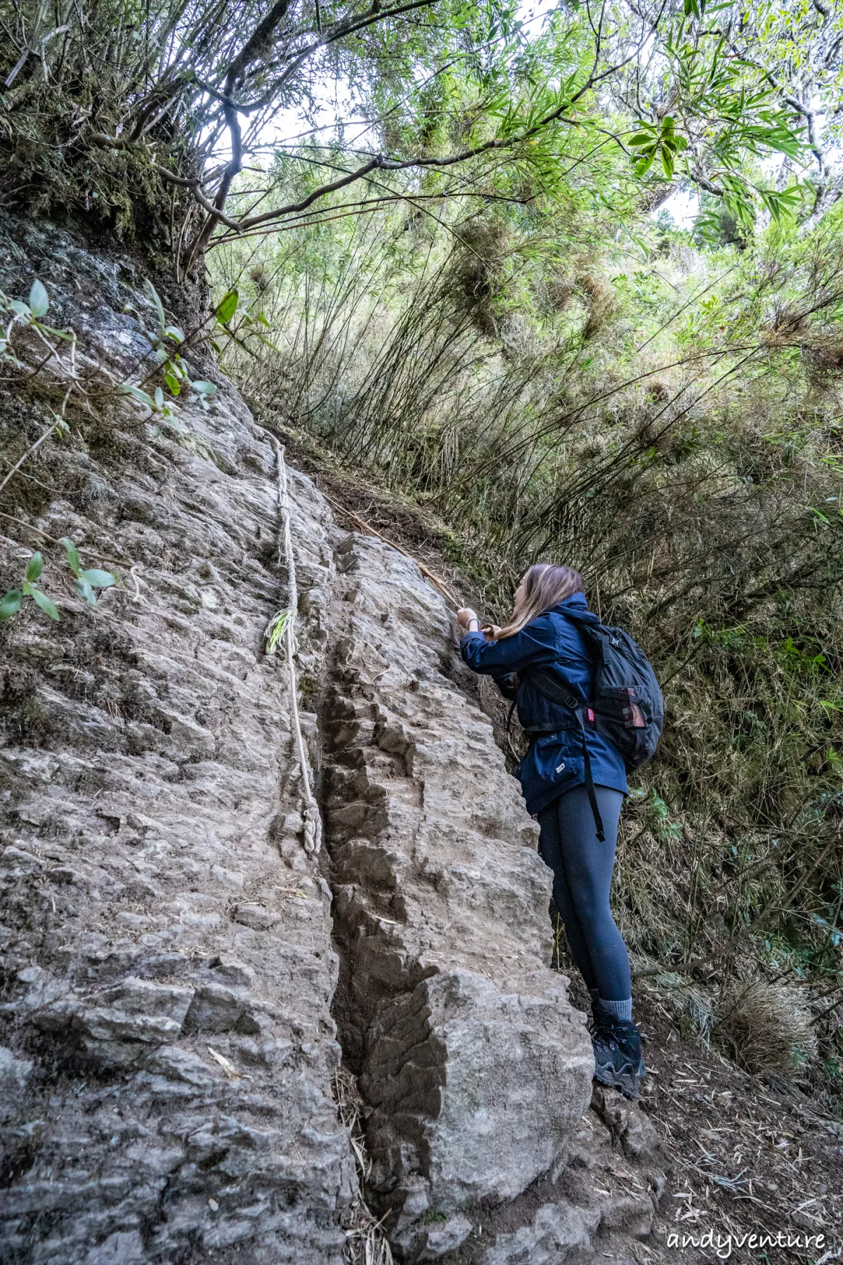 西巒大山－登山路線攻略，單攻百岳的極致，挑戰一天爬三座101的高度