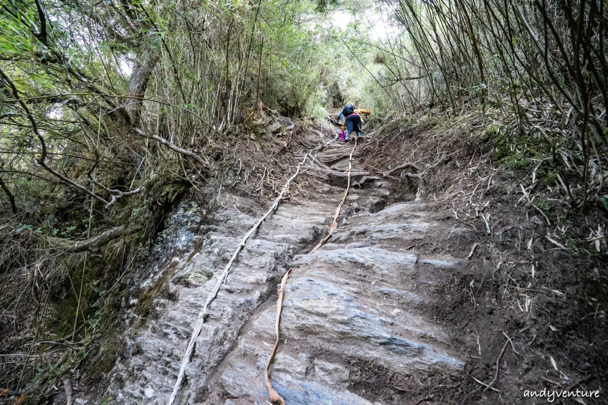 西巒大山－登山路線攻略，單攻百岳的極致，挑戰一天爬三座101的高度