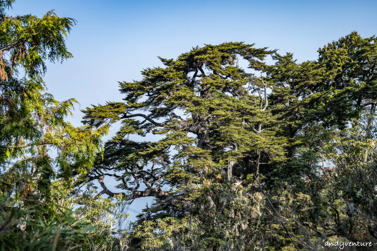 西巒大山－登山路線攻略，單攻百岳的極致，挑戰一天爬三座101的高度