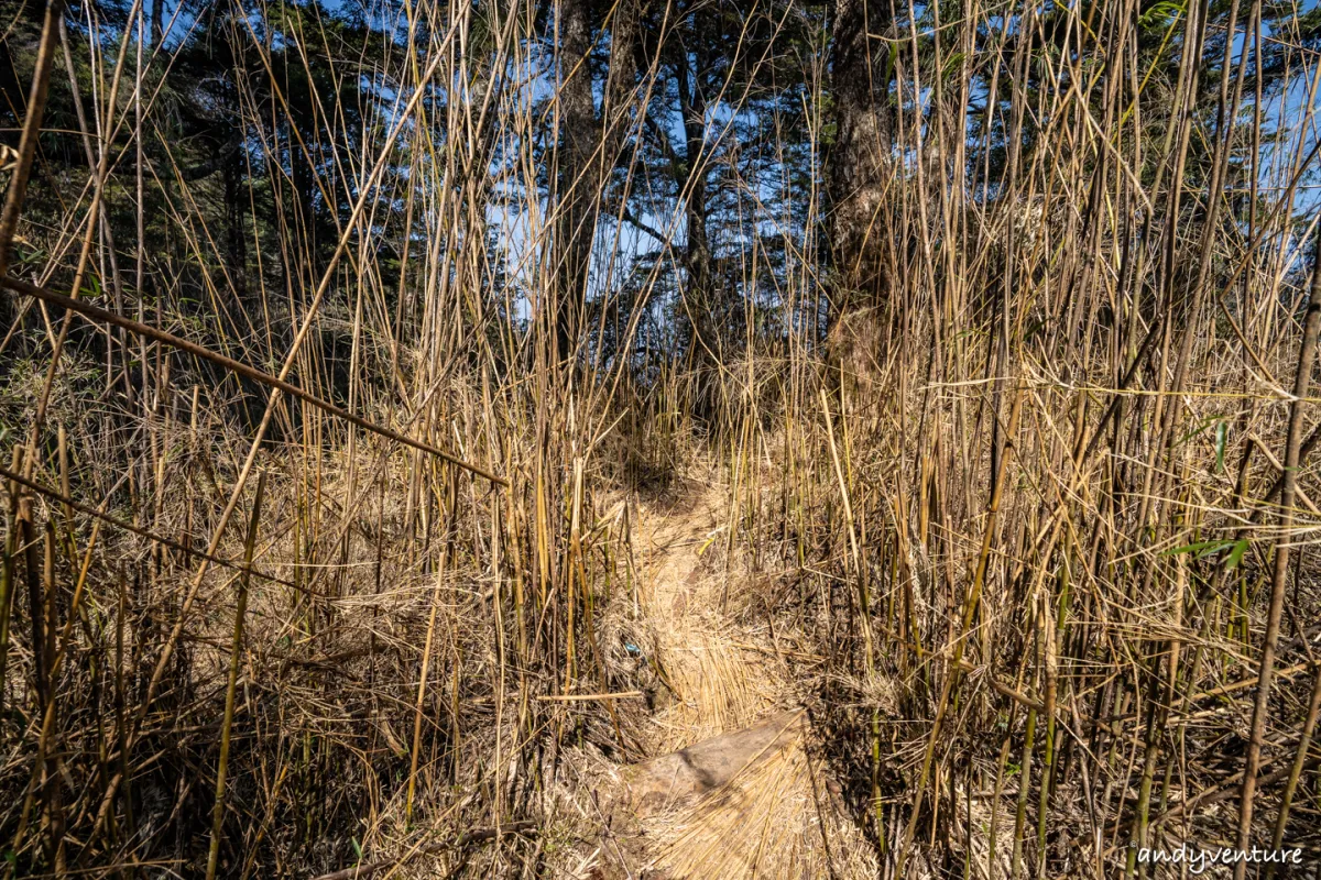 西巒大山－登山路線攻略，單攻百岳的極致，挑戰一天爬三座101的高度