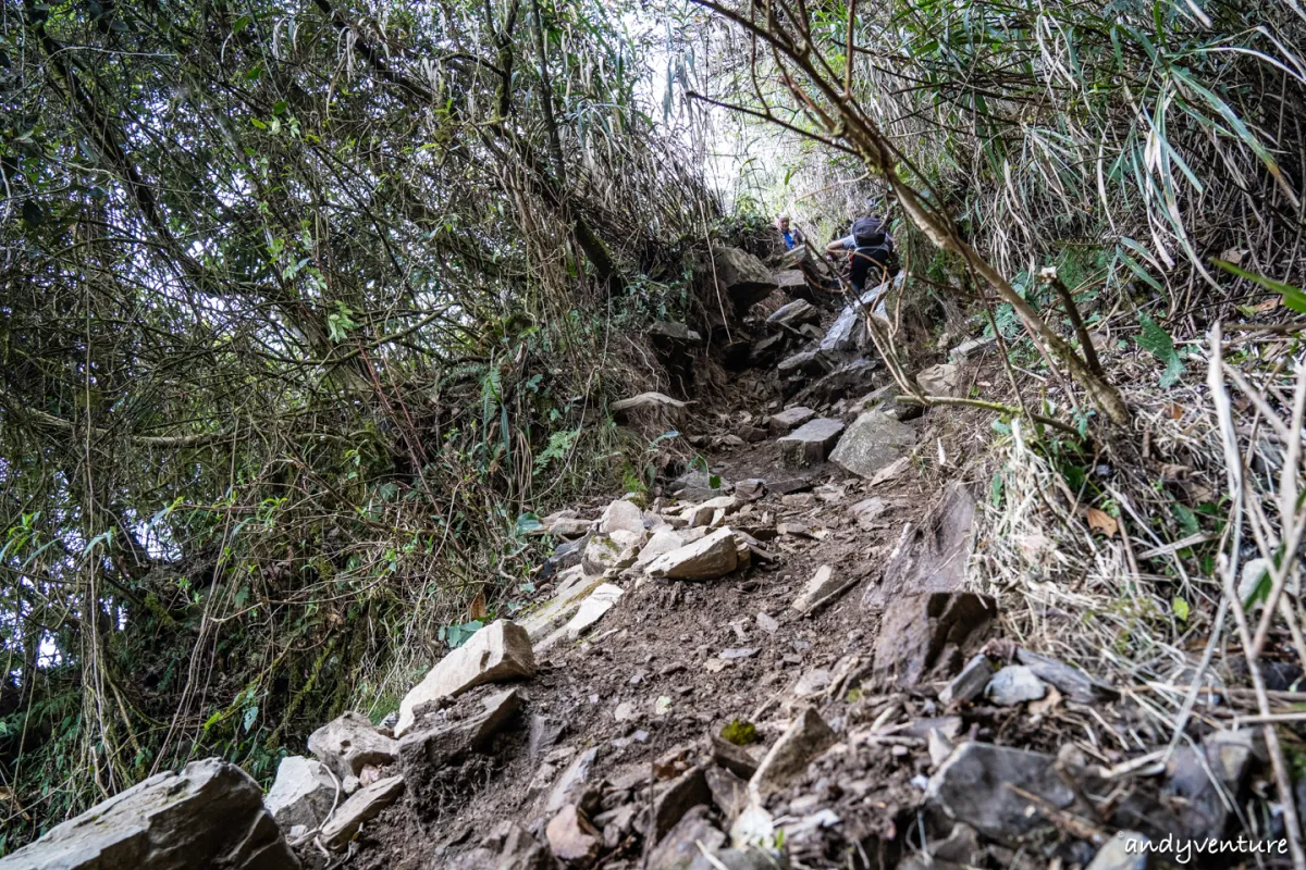 西巒大山－登山路線攻略，單攻百岳的極致，挑戰一天爬三座101的高度