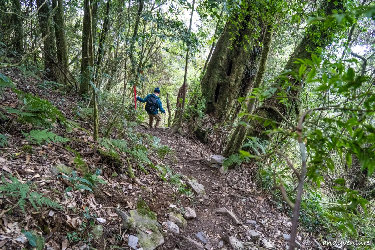 西巒大山－登山路線攻略，單攻百岳的極致，挑戰一天爬三座101的高度