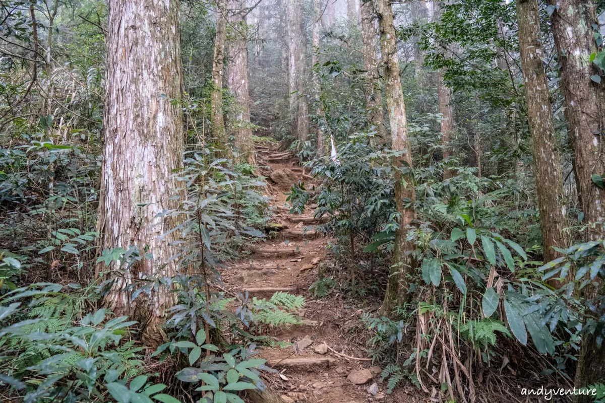 西巒大山－登山路線攻略，單攻百岳的極致，挑戰一天爬三座101的高度