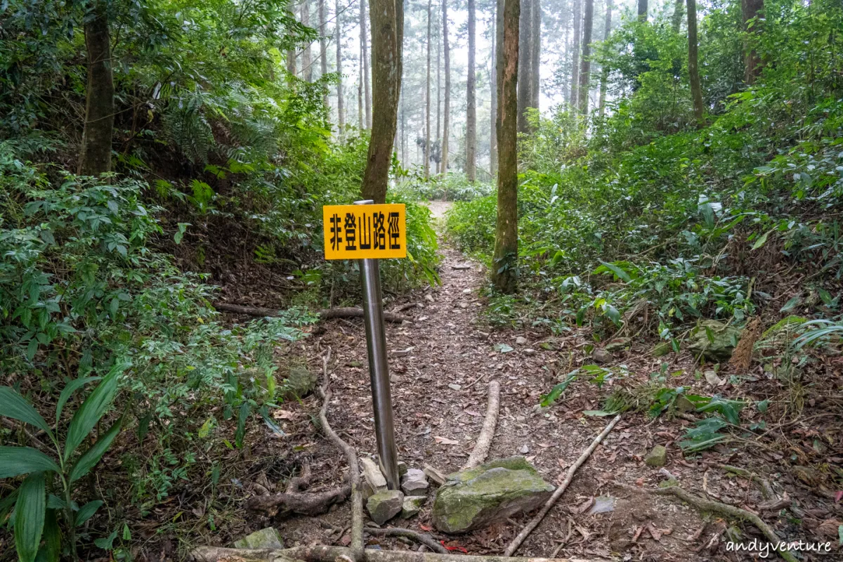 西巒大山－登山路線攻略，單攻百岳的極致，挑戰一天爬三座101的高度