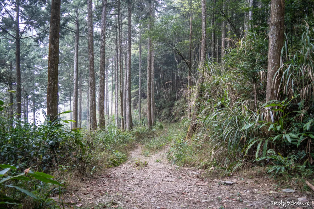 西巒大山－登山路線攻略，單攻百岳的極致，挑戰一天爬三座101的高度