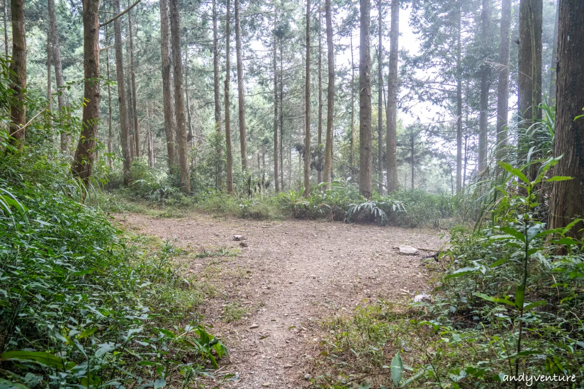 西巒大山－登山路線攻略，單攻百岳的極致，挑戰一天爬三座101的高度