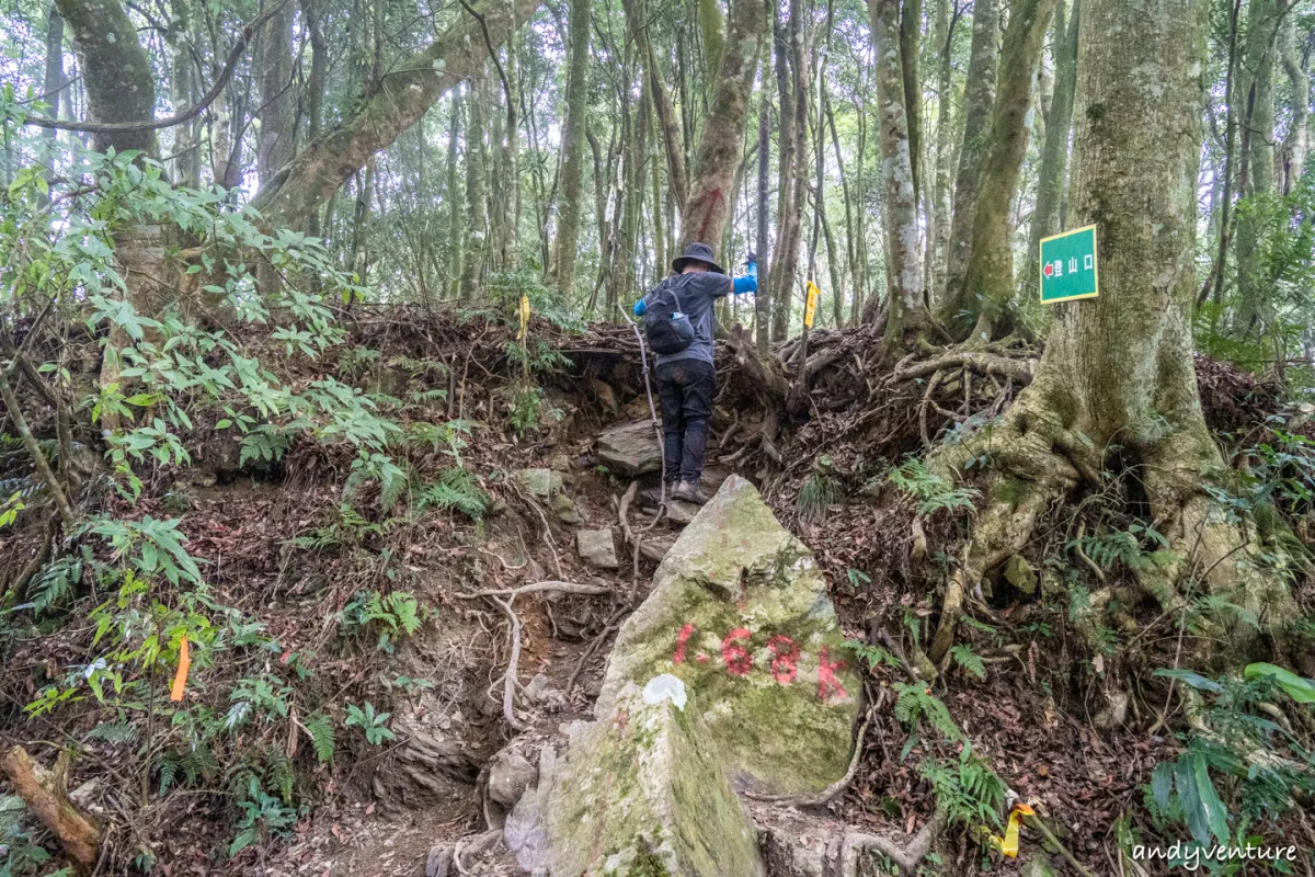 西巒大山－登山路線攻略，單攻百岳的極致，挑戰一天爬三座101的高度