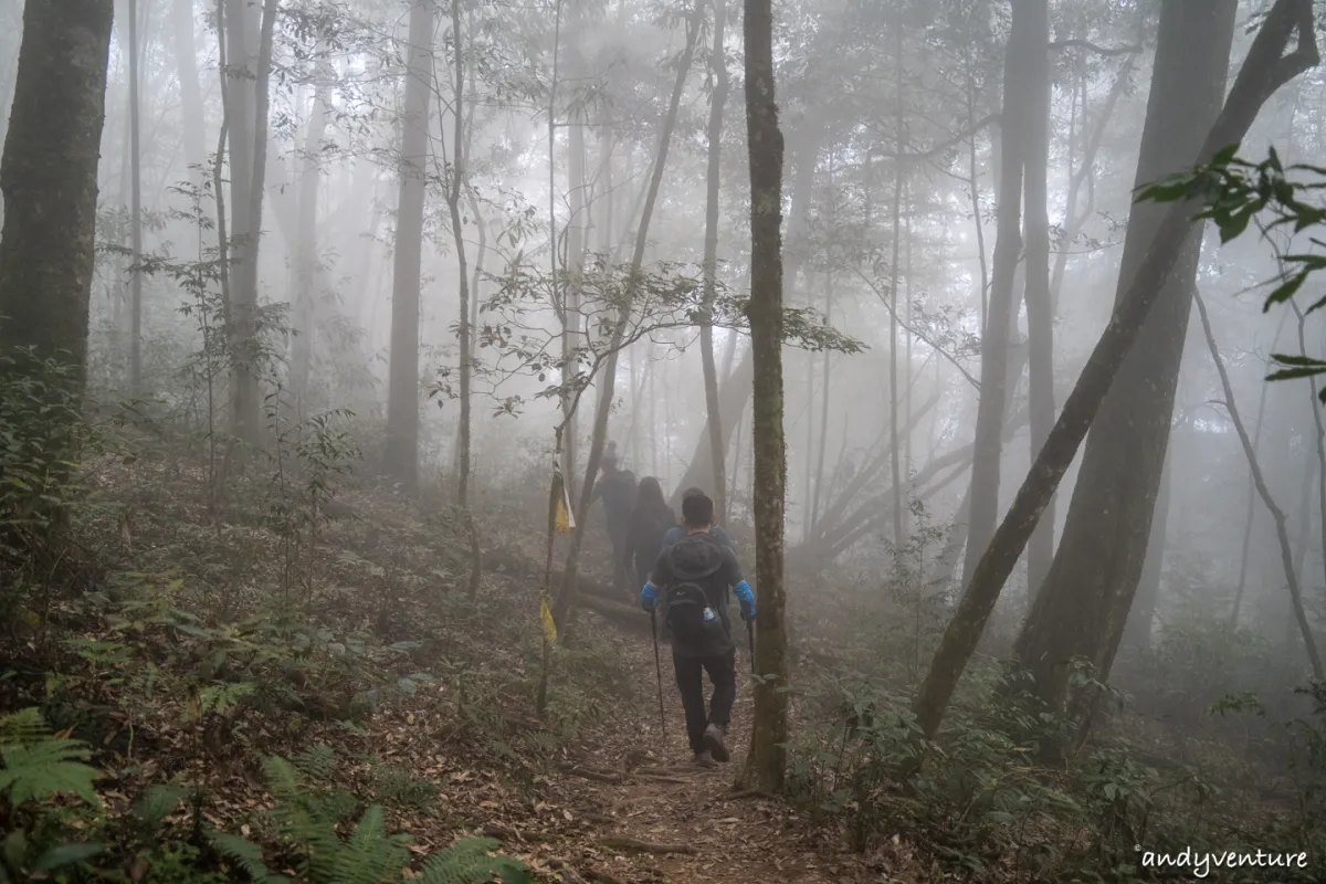 西巒大山－登山路線攻略，單攻百岳的極致，挑戰一天爬三座101的高度