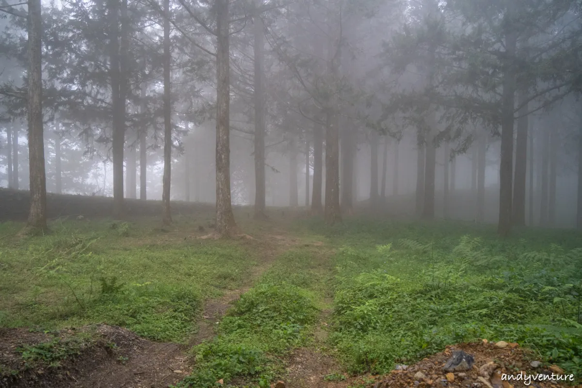 西巒大山－登山路線攻略，單攻百岳的極致，挑戰一天爬三座101的高度