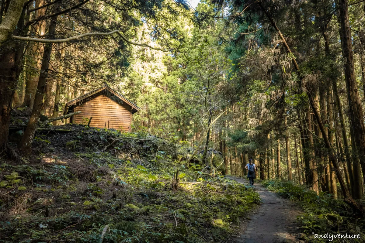 加里山－登山路線攻略，有幽美柳杉林海與雲海的小百岳