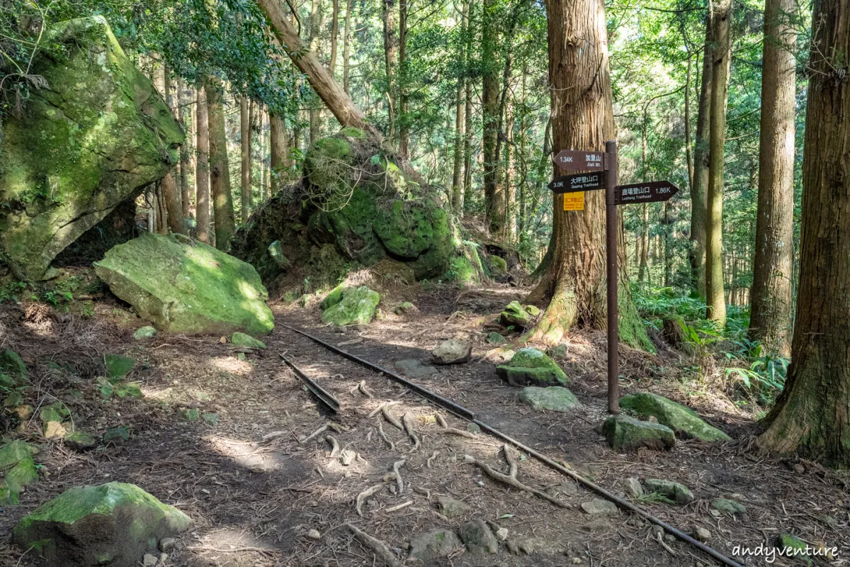 加里山－登山路線攻略，有幽美柳杉林海與雲海的小百岳