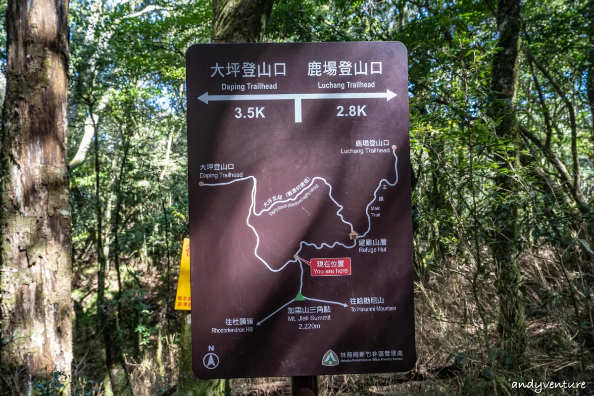 加里山－登山路線攻略，有幽美柳杉林海與雲海的小百岳