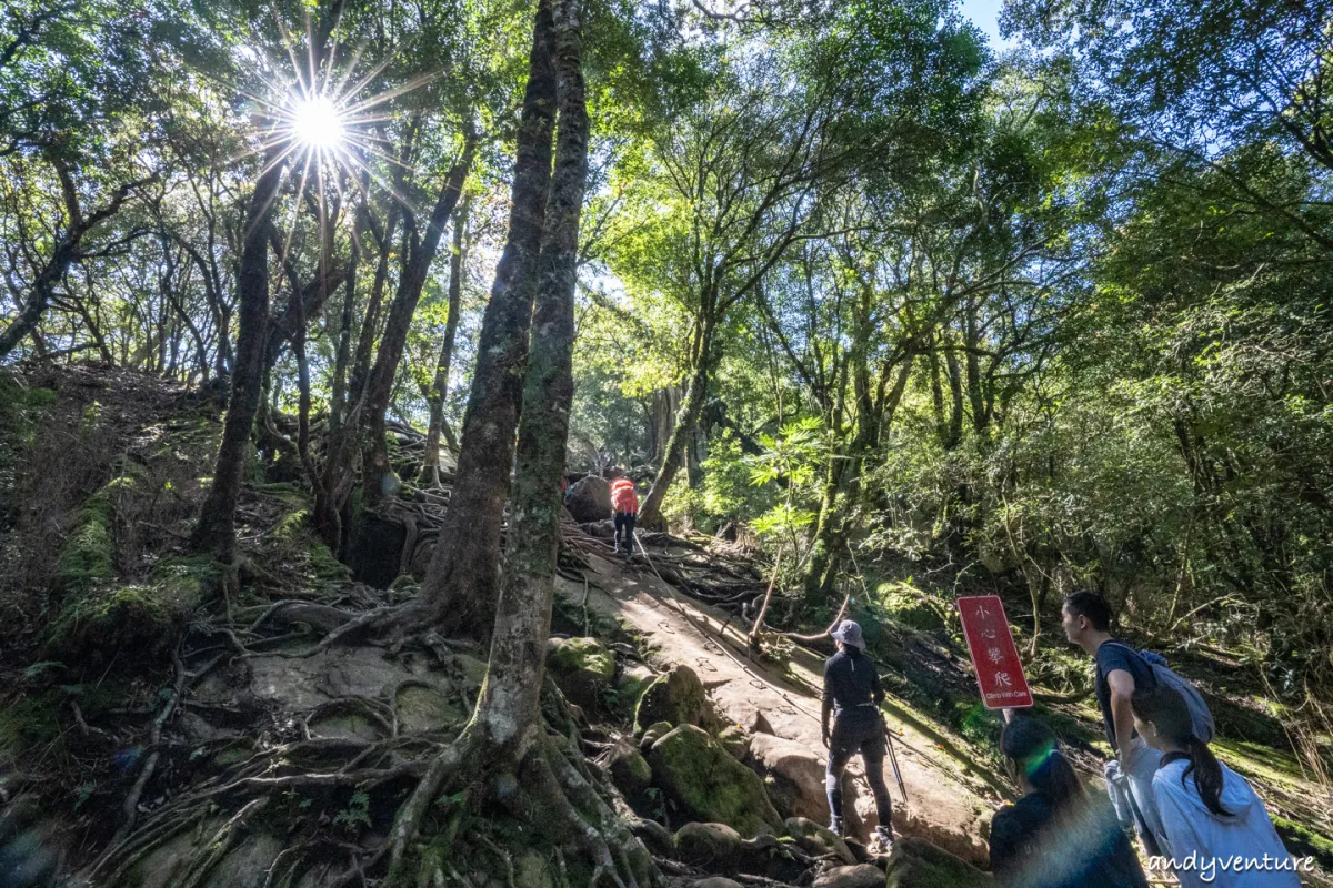 加里山－登山路線攻略，有幽美柳杉林海與雲海的小百岳