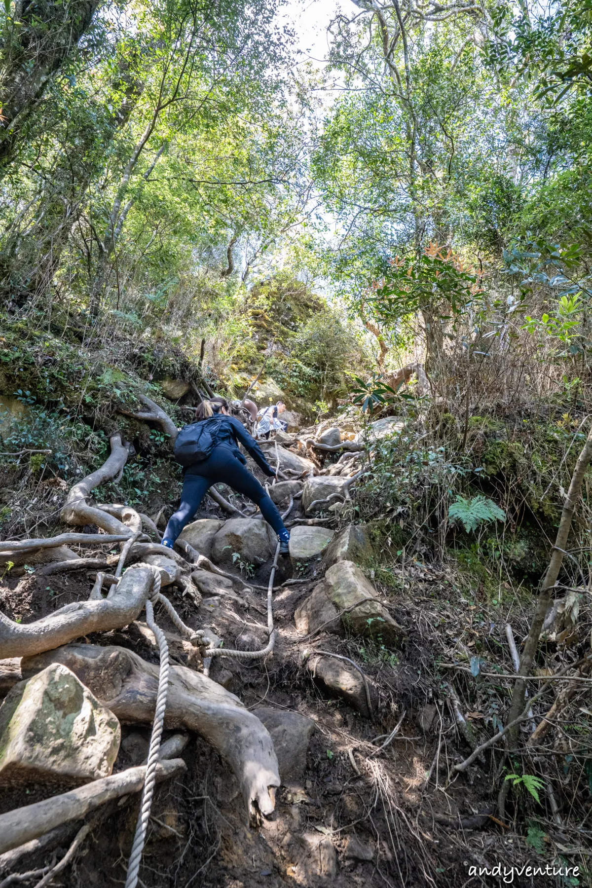 加里山－登山路線攻略，有幽美柳杉林海與雲海的小百岳