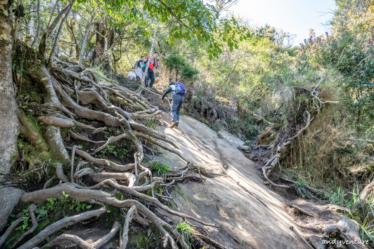 加里山－登山路線攻略，有幽美柳杉林海與雲海的小百岳