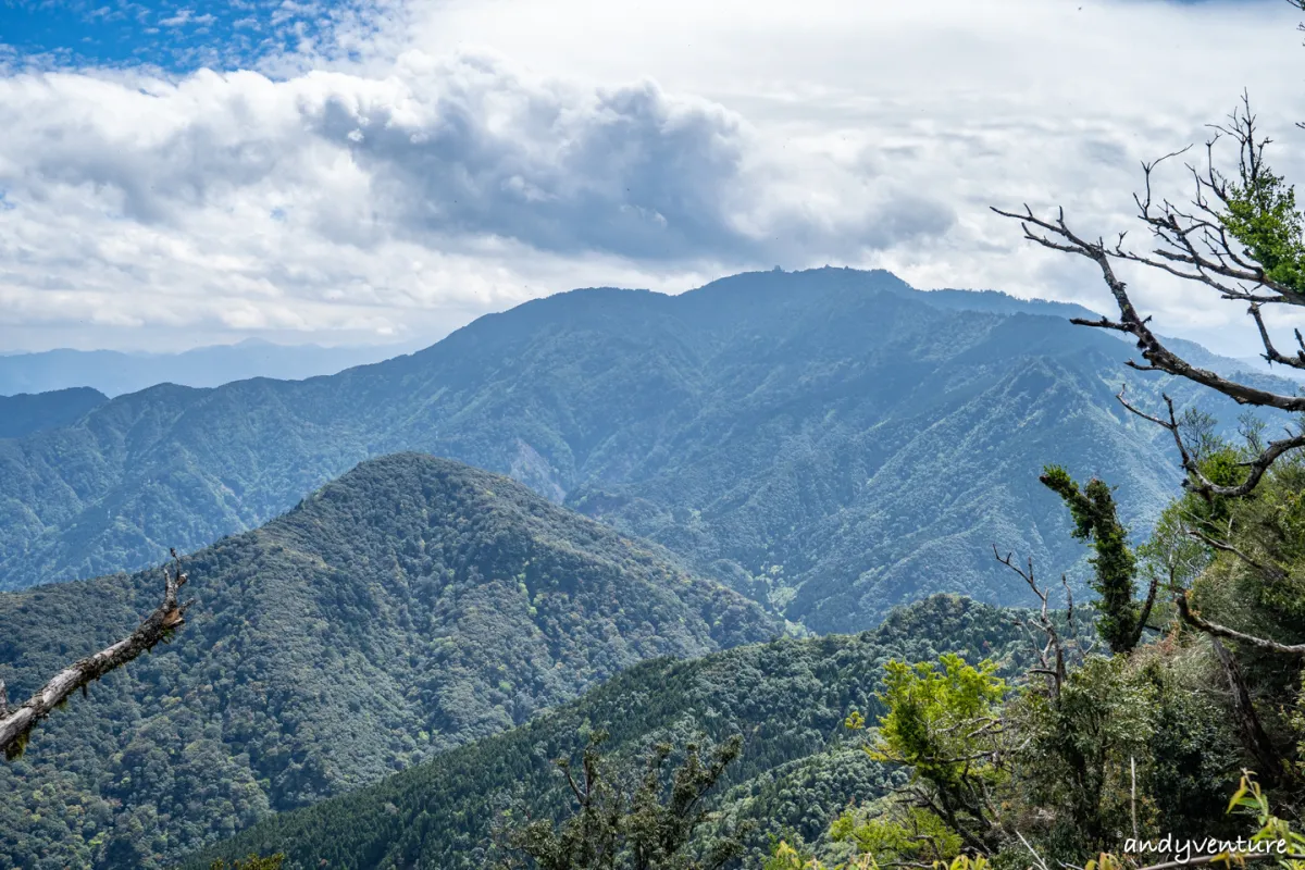 加里山－登山路線攻略，有幽美柳杉林海與雲海的小百岳