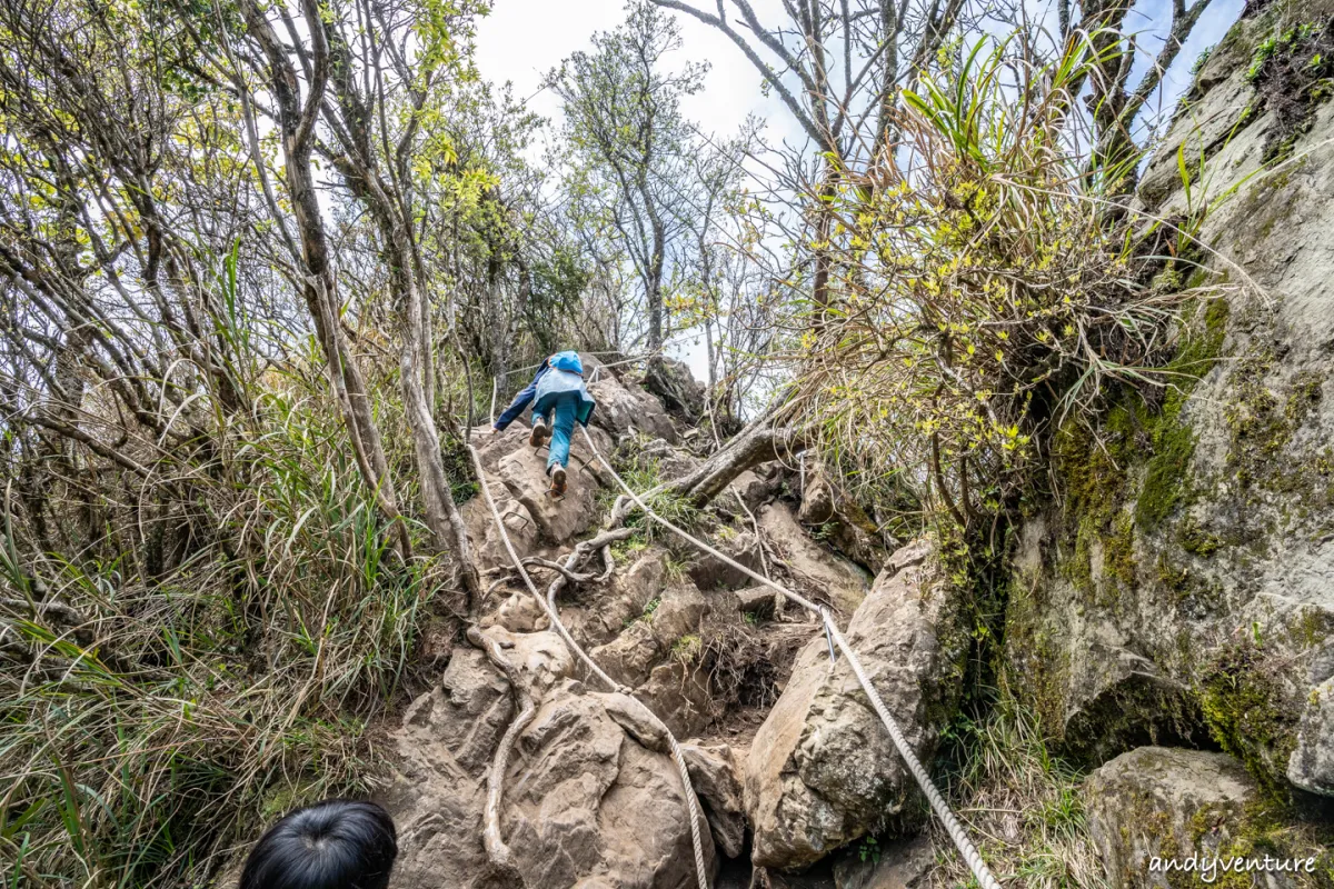 加里山－登山路線攻略，有幽美柳杉林海與雲海的小百岳