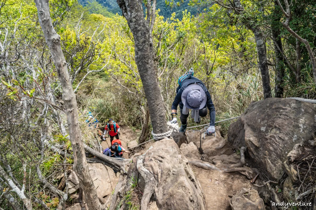 加里山－登山路線攻略，有幽美柳杉林海與雲海的小百岳