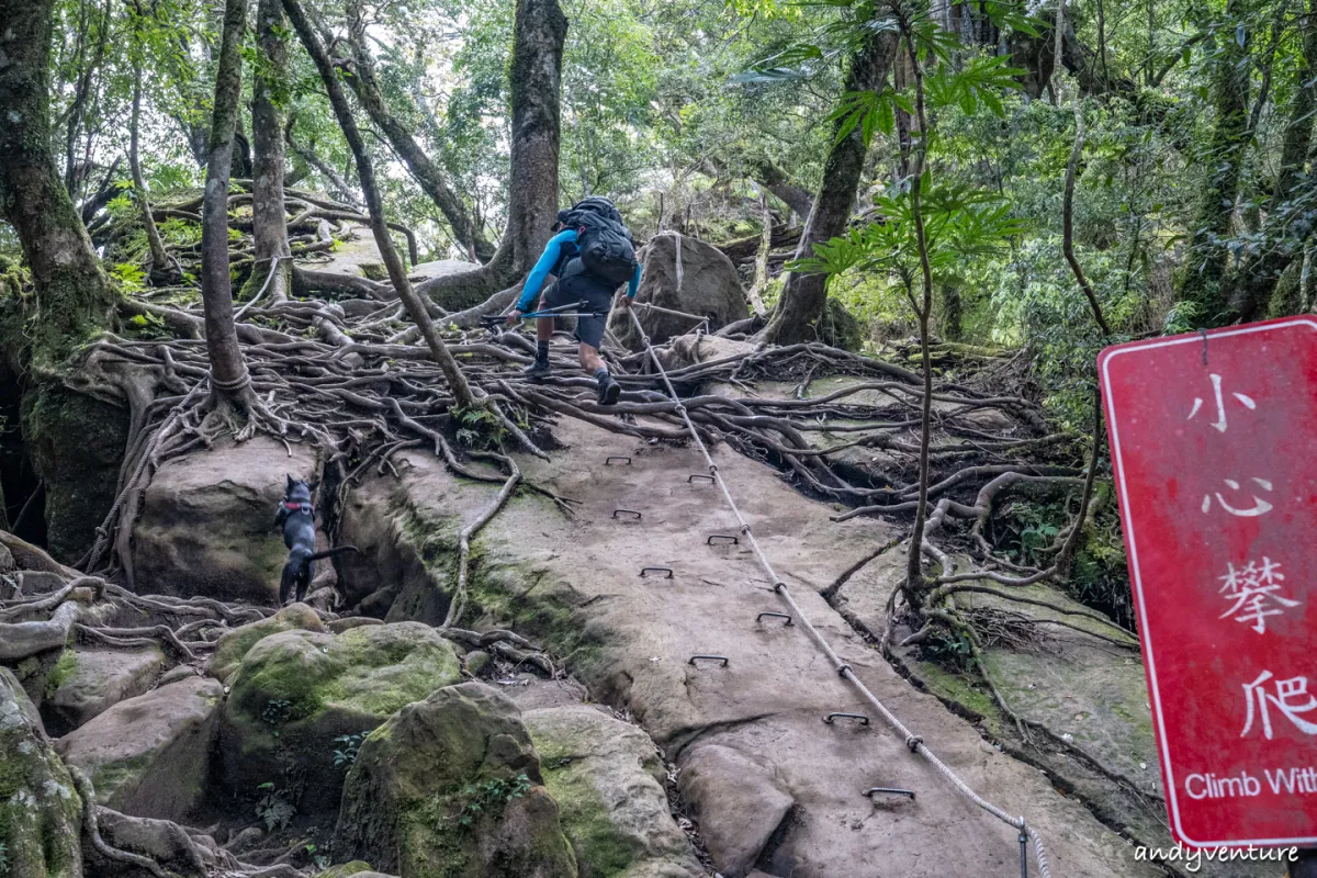 加里山－登山路線攻略，有幽美柳杉林海與雲海的小百岳