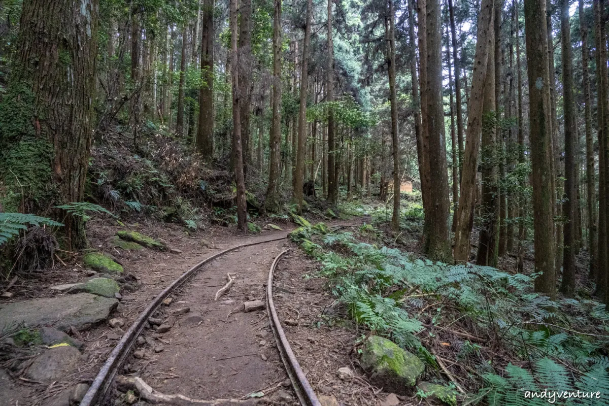 加里山－登山路線攻略，有幽美柳杉林海與雲海的小百岳