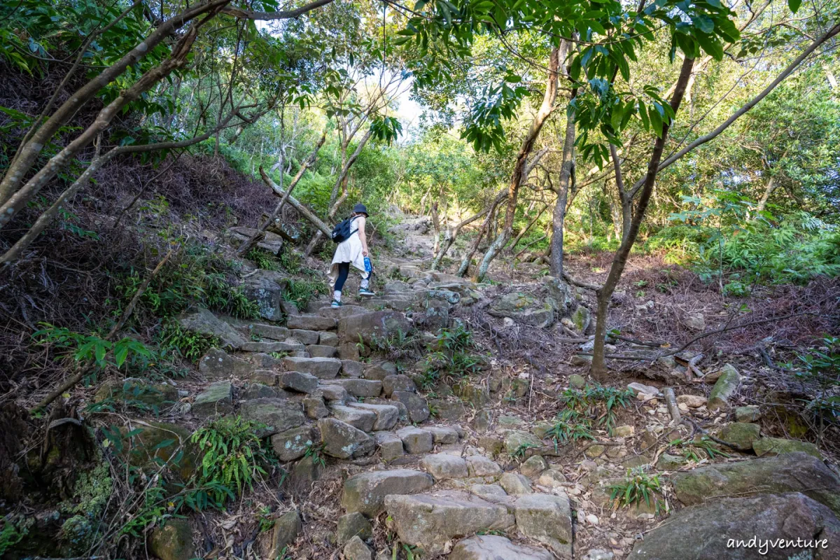 金面山旅遊實記照片｜台北內湖｜台灣景點