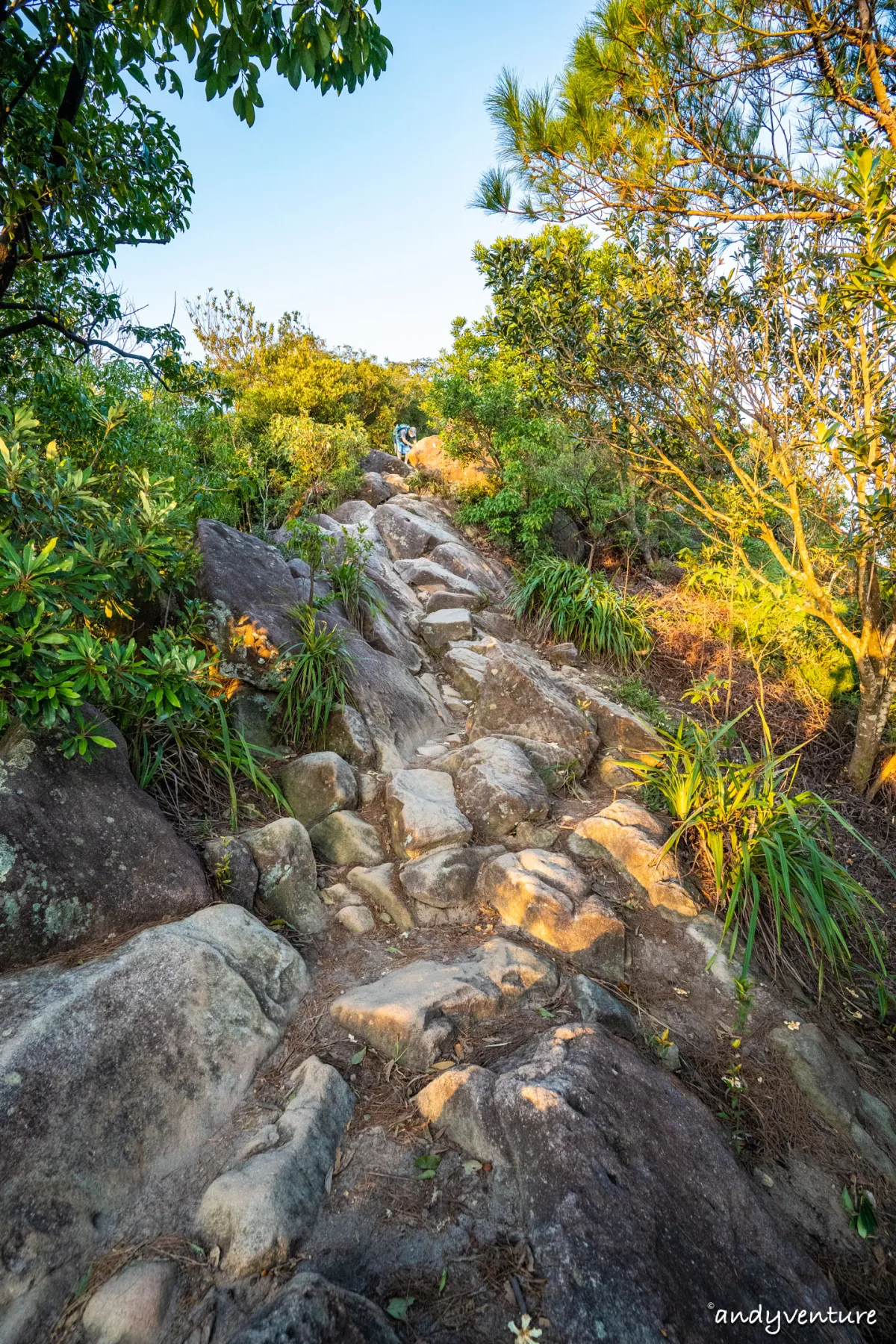 金面山旅遊實記照片｜台北內湖｜台灣景點