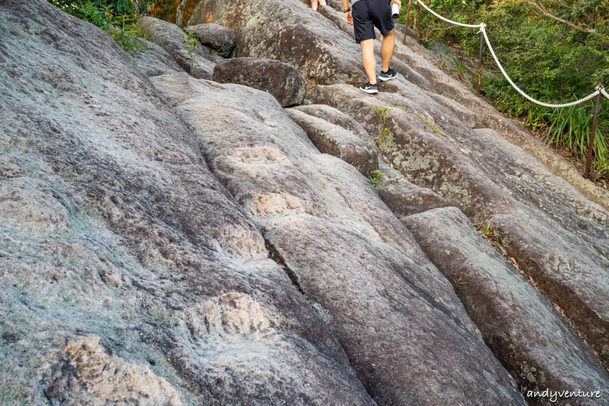 金面山旅遊實記照片｜台北內湖｜台灣景點