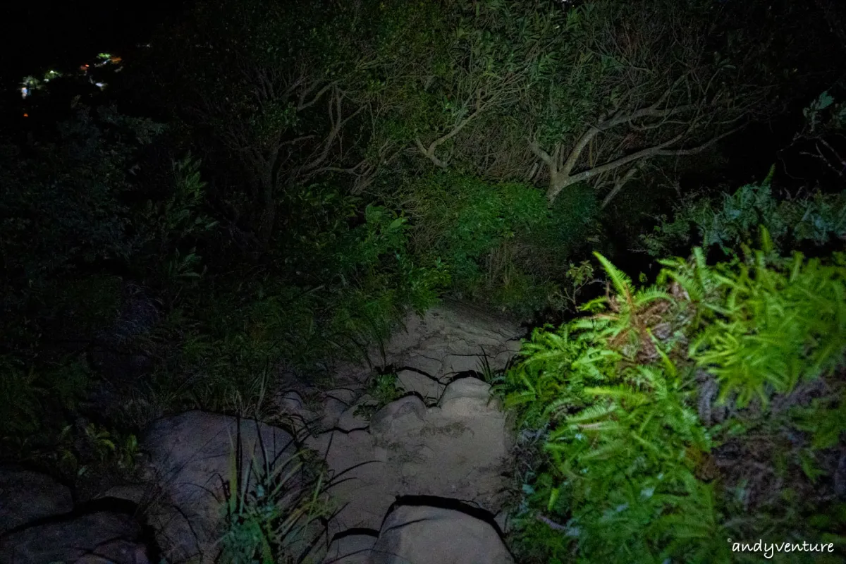 金面山旅遊實記照片｜台北內湖｜台灣景點