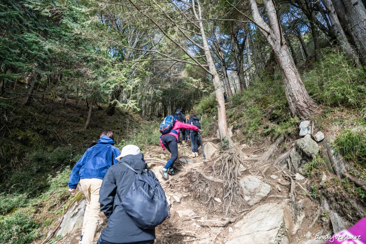 郡大山－完整登山路線攻略，車程艱辛但風景秀麗的百岳八秀｜台灣景點