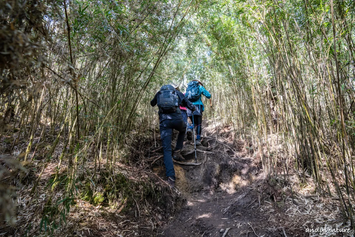 郡大山－完整登山路線攻略，車程艱辛但風景秀麗的百岳八秀｜台灣景點