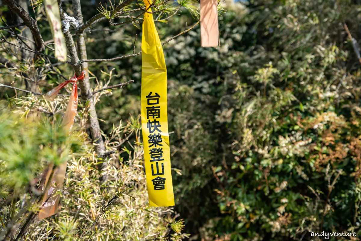 郡大山－完整登山路線攻略，車程艱辛但風景秀麗的百岳八秀｜台灣景點