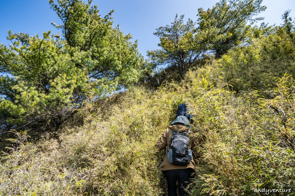 郡大山－完整登山路線攻略，車程艱辛但風景秀麗的百岳八秀｜台灣景點