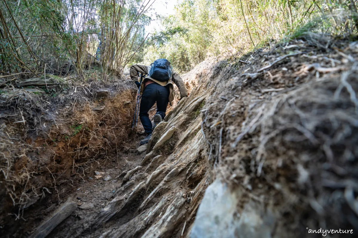 郡大山－完整登山路線攻略，車程艱辛但風景秀麗的百岳八秀｜台灣景點