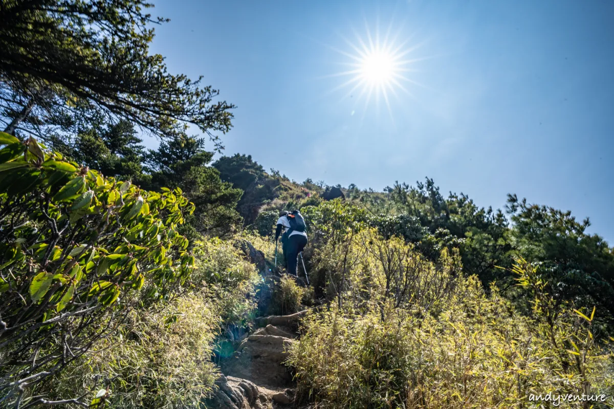 郡大山－完整登山路線攻略，車程艱辛但風景秀麗的百岳八秀｜台灣景點